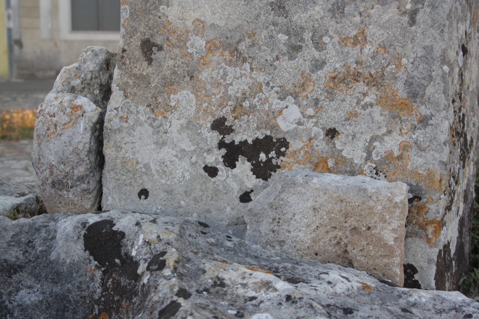 Menhir San Vincenzo_4